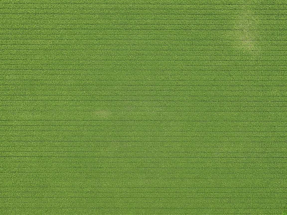 Vista cenital de una parcela con el plan de vuelo del dron