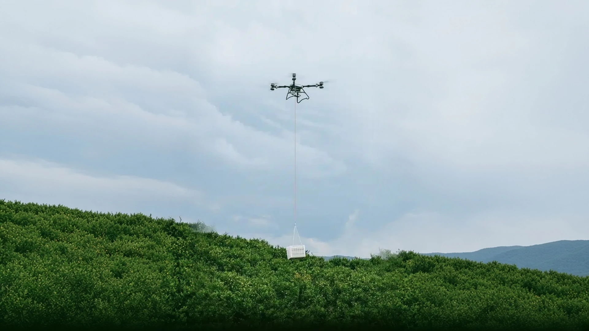 Dron agrícola transportando una caja blanca suspendida sobre un cultivo